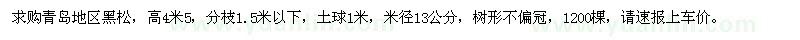 求購高4.5米黑松