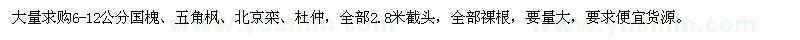 求購國槐、五角楓、北京欒、杜仲