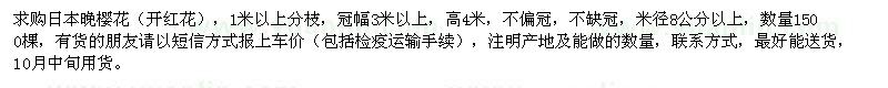 求購米徑8公分以上日本晚櫻花
