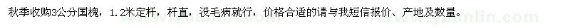 求購3公分國槐
