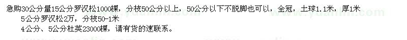 求購羅漢松、杜英