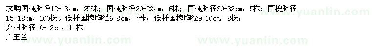 求購(gòu)國(guó)槐、欒樹、廣玉蘭