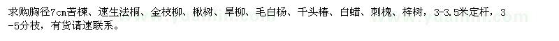 求購苦楝、速生法桐、金枝柳
