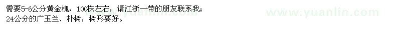 求購黃金槐、廣玉蘭、樸樹