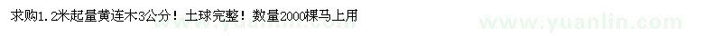 求購3公分黃連木