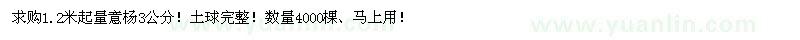 求購3公分意楊