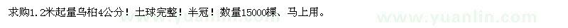 求購4公分烏桕