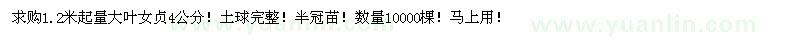 求購4公分大葉女貞