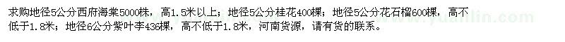 求購西府海棠、桂花、花石榴、紫葉李