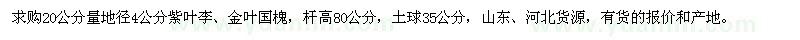 求購地徑4公分紫葉李、金葉國槐