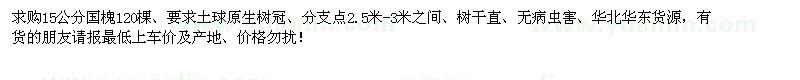 求購15公分國槐
