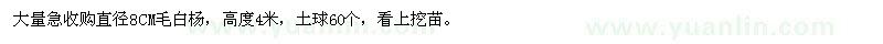 求購直徑8公分毛白楊