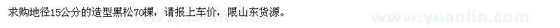求購地徑15公分造型黑松
