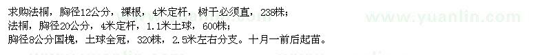 求購法桐、國槐