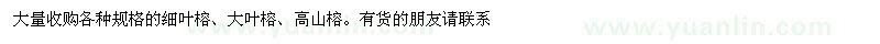 求購細葉榕、大葉榕、高山榕