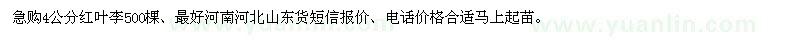 求購4公分紅葉李