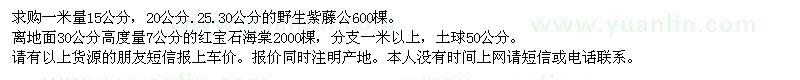 求購野生紫藤、紅寶石海棠