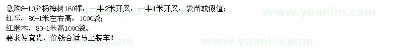 求購楊梅樹(shù)、紅車(chē)、紅繼木