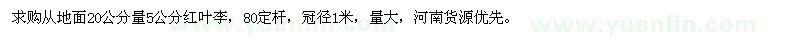 求購20公分量5公分紅葉李