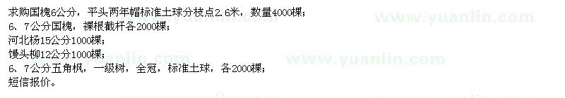 求購國槐、河北楊、饅頭柳、五角楓