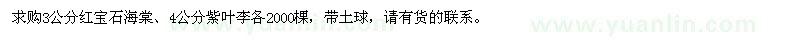 求購3公分紅寶石海棠、4公分紫葉李