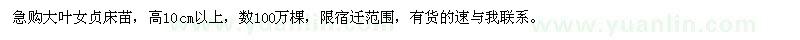 求購高10公分以上大葉女貞床苗