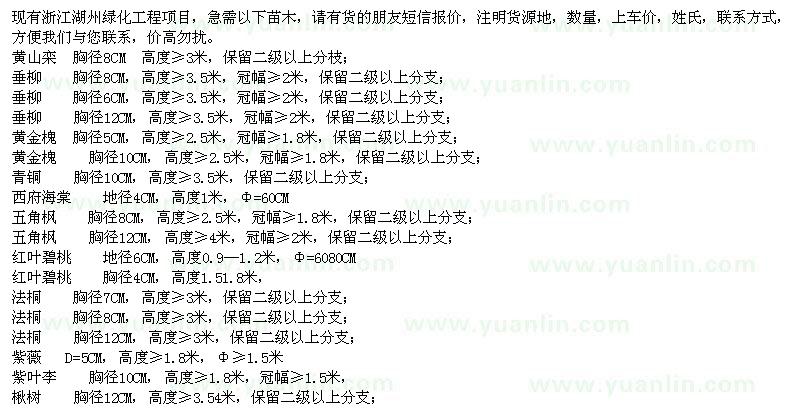 求購(gòu)黃山欒、垂柳、黃金槐