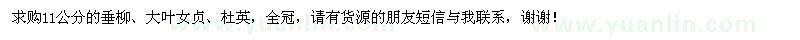 求購垂柳、大葉女貞、杜英