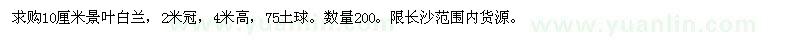 求購(gòu)10公分景葉白蘭