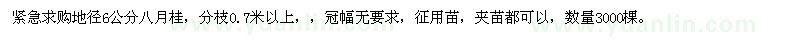 求購地徑6公分八月桂