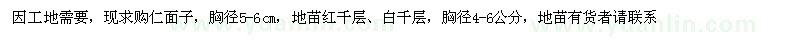 求購仁面子、紅千層、白千層