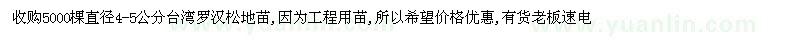 求購直徑4-5公分臺灣羅漢松地苗