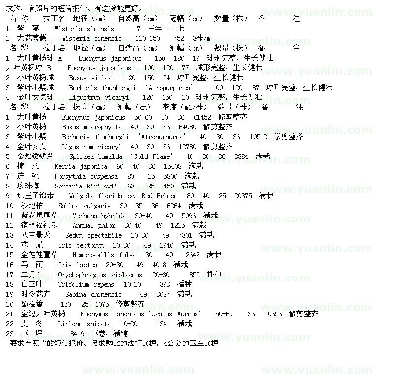 求購大花薔薇、小葉黃楊球、紫藤等