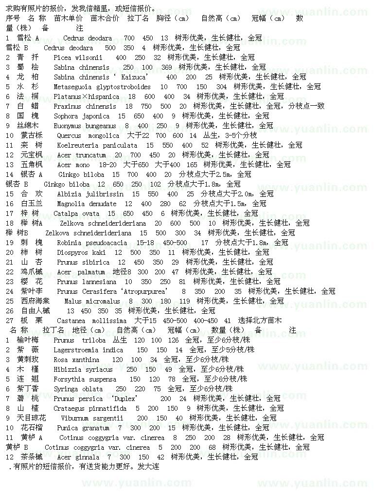 求購雪松、蜀檜、龍柏、水杉等