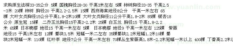 求購(gòu)法桐、柿樹、大葉女貞、銀杏等