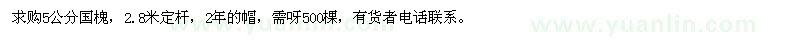 求購5公分國槐