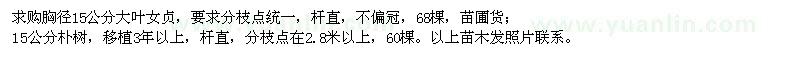 求購胸徑15公分大葉女貞、樸樹(shù)