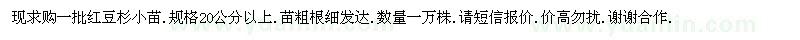 求購20公分以上紅豆杉小苗
