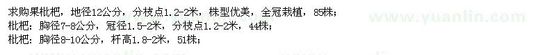 求購胸徑7-8、8-10公分、地徑12公分枇杷