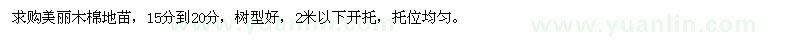 求購美人樹