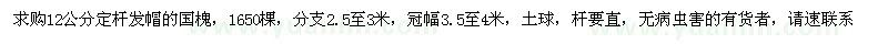 求購12公分國(guó)槐