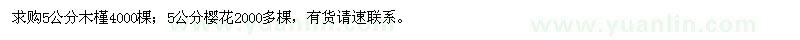 求購(gòu)5公分木槿、櫻花
