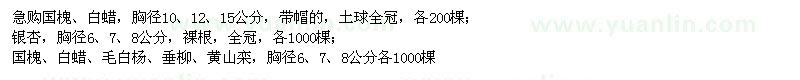 求購國槐、白蠟、銀杏