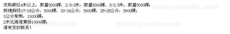 求購黑松、刺槐、紫荊、北海道黃楊