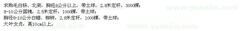 求購毛白楊、北欒、國槐、白蠟、大葉女貞
