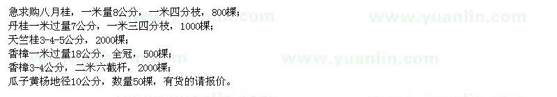 求購八月桂、丹桂、天竺桂、香樟、瓜子黃楊