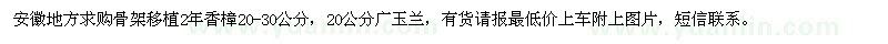 求購20-30公分香樟、20公分廣玉蘭