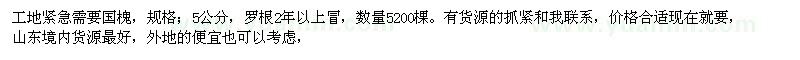 求購5公分國槐
