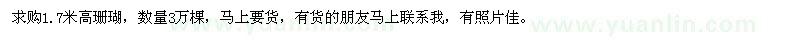 求購高1.7米珊瑚 