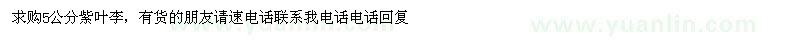 求購5公分紫葉李 